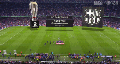 她是海港小球迷，女高中生与海港的故事（女高中生与海港：小球迷的成长记）